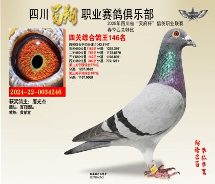 四川蜀翔四關(guān)鴿王146名