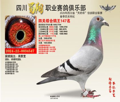 四川蜀翔四關(guān)鴿王147名