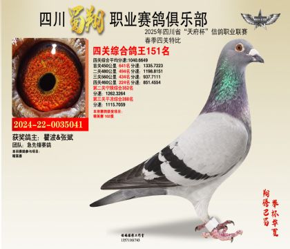 四川蜀翔四關(guān)鴿王151名