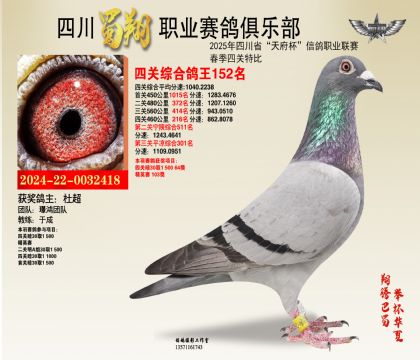 四川蜀翔四關(guān)鴿王152名