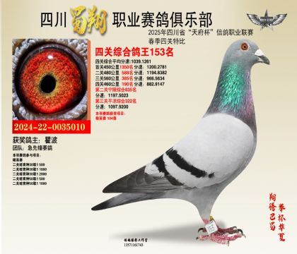 四川蜀翔四關(guān)鴿王153名