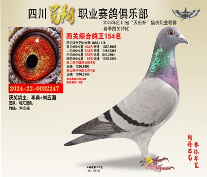 四川蜀翔四關(guān)鴿王154名