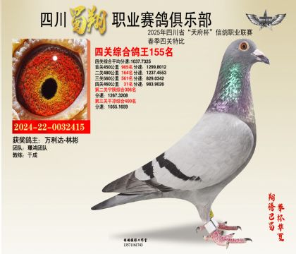 四川蜀翔四關(guān)鴿王155名