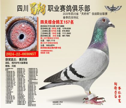 四川蜀翔四關(guān)鴿王157名