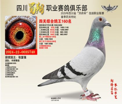 四川蜀翔四關(guān)鴿王160名