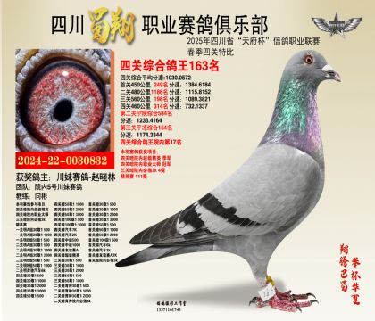 四川蜀翔四關(guān)鴿王163名