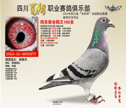 四川蜀翔四關(guān)鴿王165名