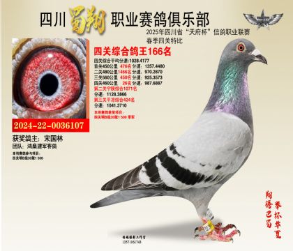 四川蜀翔四關(guān)鴿王166名