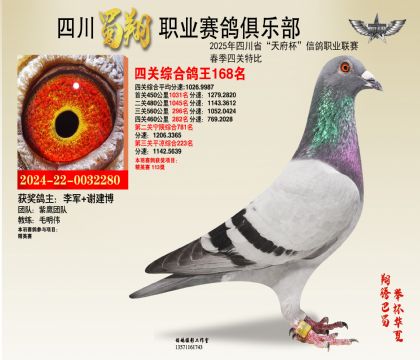 四川蜀翔四關(guān)鴿王168名