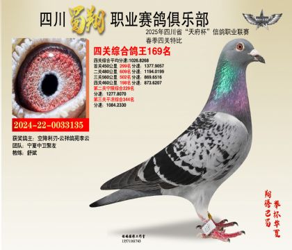 四川蜀翔四關(guān)鴿王169名
