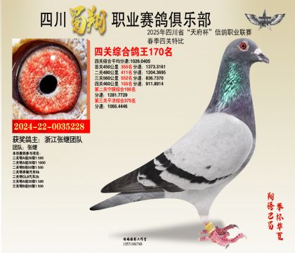 四川蜀翔四關(guān)鴿王170名