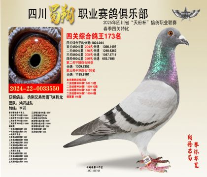 四川蜀翔四關(guān)鴿王173名