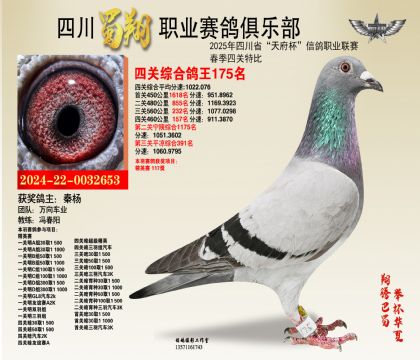 四川蜀翔四關(guān)鴿王175名