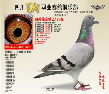 四川蜀翔四關(guān)鴿王176名
