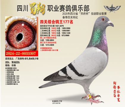 四川蜀翔四關(guān)鴿王177名