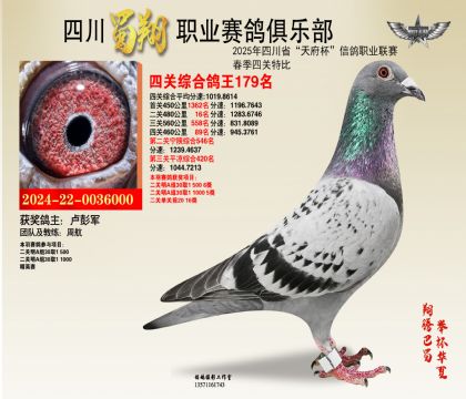 四川蜀翔四關(guān)鴿王179名