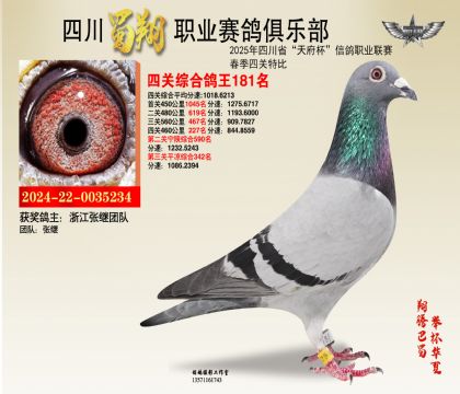 四川蜀翔四關(guān)鴿王181名