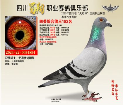 四川蜀翔四關(guān)鴿王182名