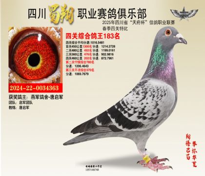四川蜀翔四關(guān)鴿王183名