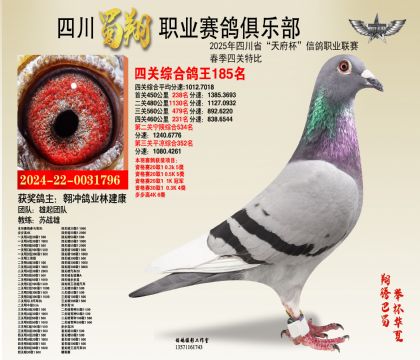 四川蜀翔四關(guān)鴿王185名