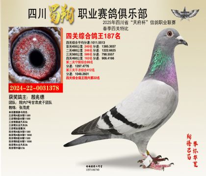 四川蜀翔四關(guān)鴿王187名