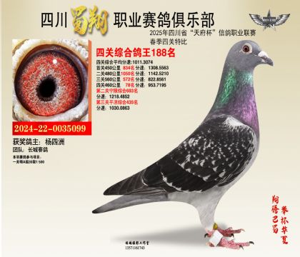 四川蜀翔四關(guān)鴿王188名