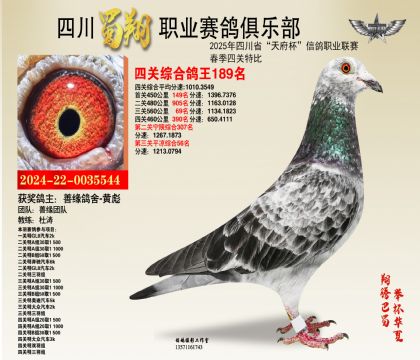 四川蜀翔四關(guān)鴿王189名