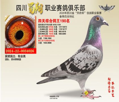 四川蜀翔四關(guān)鴿王190名
