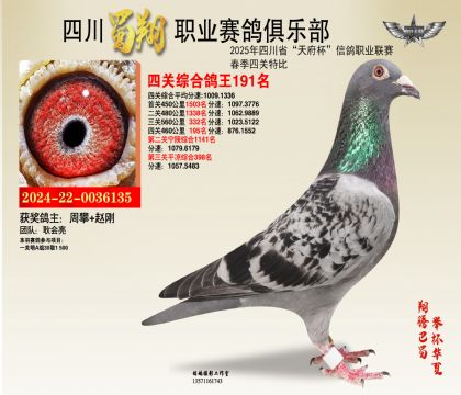 四川蜀翔四關(guān)鴿王191名