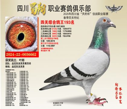 四川蜀翔四關(guān)鴿王193名
