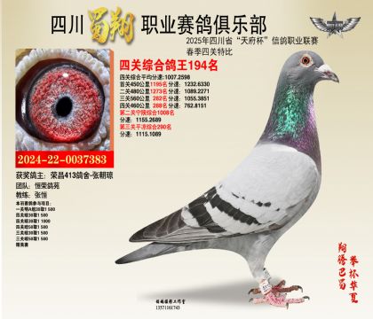 四川蜀翔四關(guān)鴿王194名