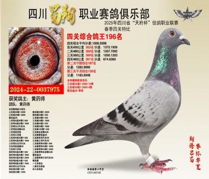 四川蜀翔四關(guān)鴿王196名