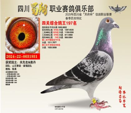 四川蜀翔四關(guān)鴿王197名