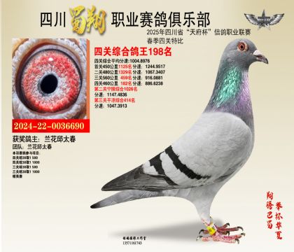 四川蜀翔四關(guān)鴿王198名