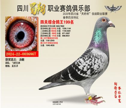 四川蜀翔四關(guān)鴿王199名