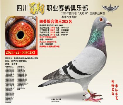 ĴP(gun)202