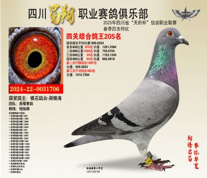 ĴP(gun)205