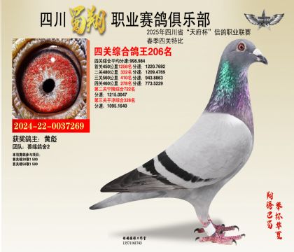四川蜀翔四關鴿王206名