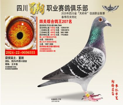 ĴP(gun)207