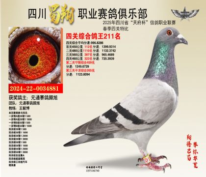ĴP(gun)211