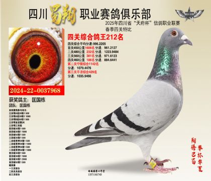 ĴP(gun)212