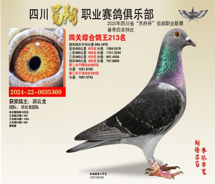 ĴP(gun)213