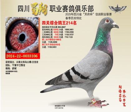 ĴP(gun)214