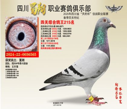 ĴP(gun)215