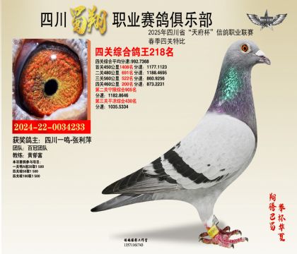 ĴP(gun)218