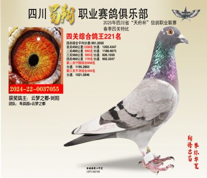 ĴP(gun)221