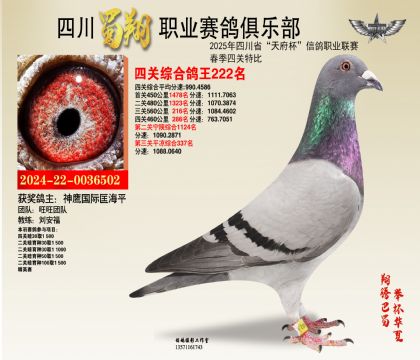 ĴP(gun)222