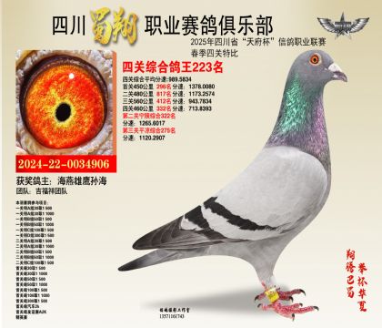 ĴP(gun)223
