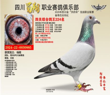 ĴP(gun)224