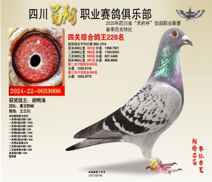 ĴP228